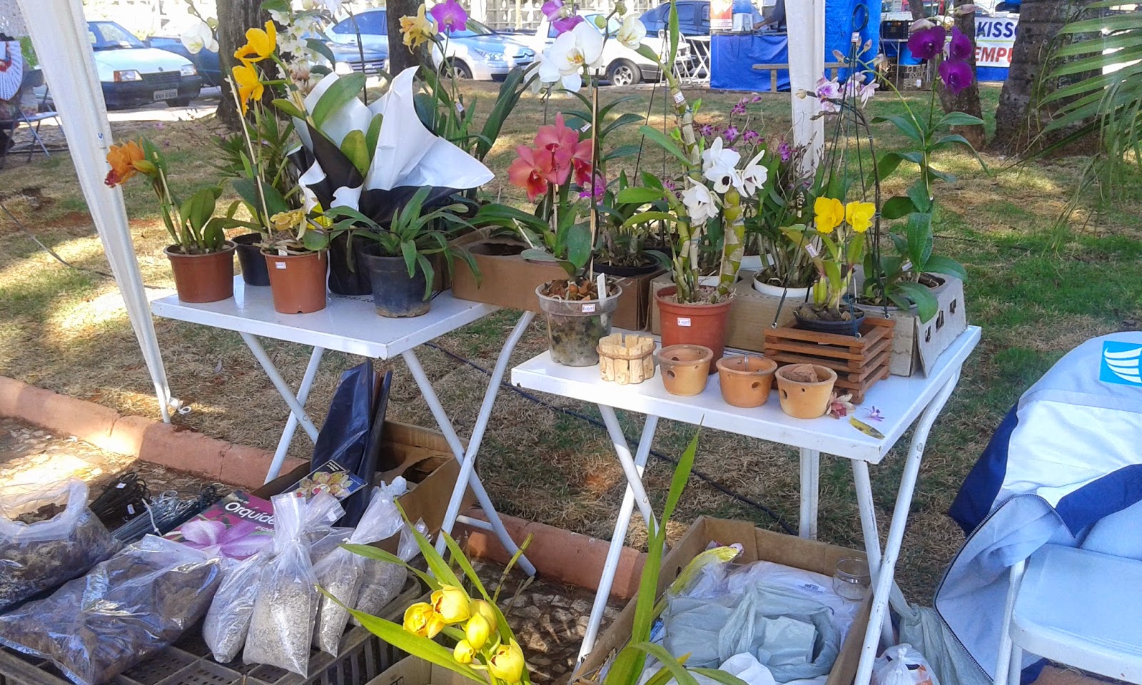 feira de artesanato em Sorocaba FELTRO ORQUI Aparador Embaixo Da Tv ~ feira de artesanato em Sorocaba FELTRO ORQUI