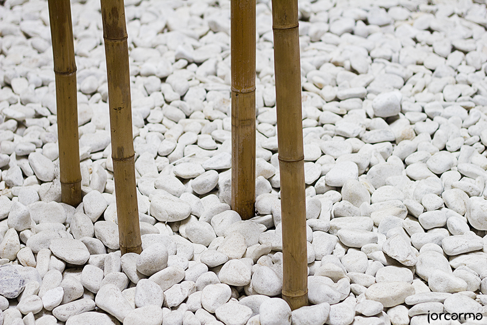 jardín zen : Fotografías de Jorcarma