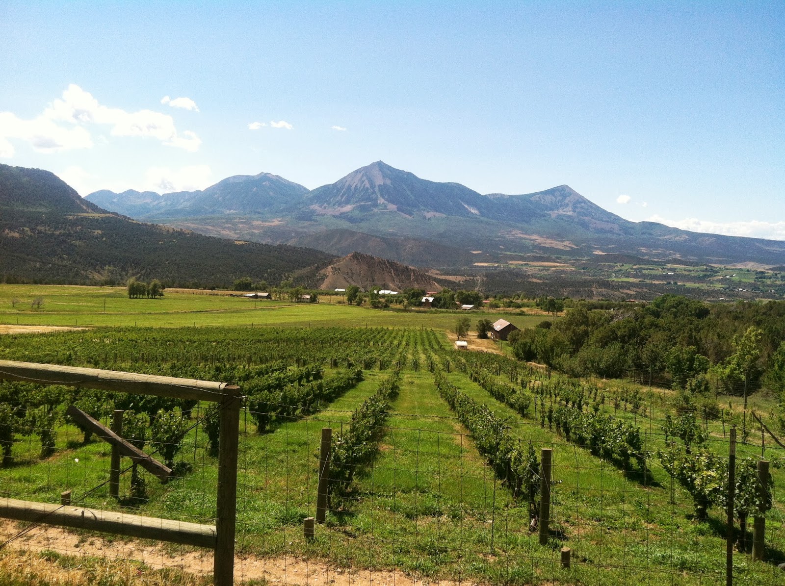 A Marmie Life Wine tripping in Paonia, CO