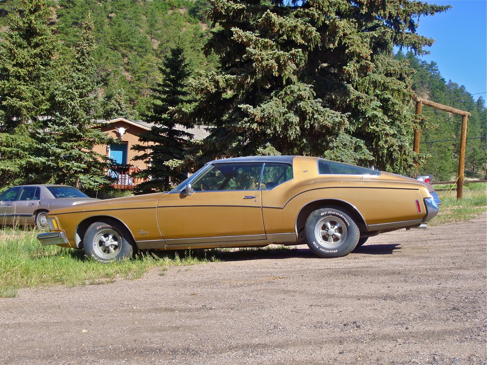 THE STREET PEEP 1973 Buick Riviera