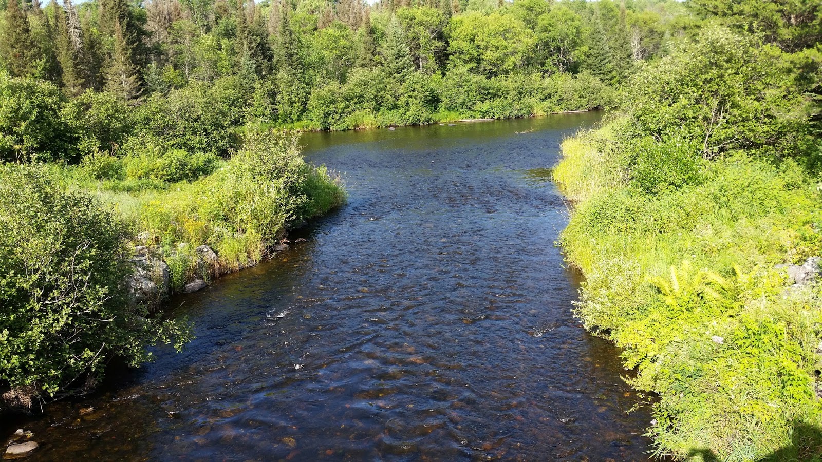 Technically Homeless Campground Review Paint River Forks Campground