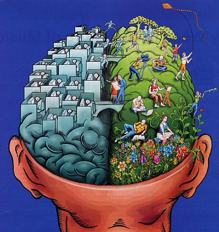 Left brain right brain theory: myth or reality?