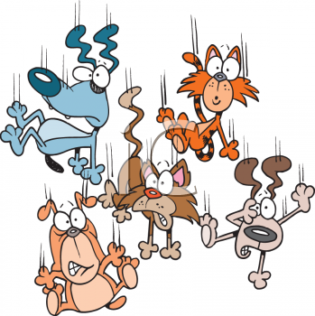raining cats and dogs raining cats and dogs quotes quotesgram raining cats and dogs raining cats and dogs quotes quotesgram