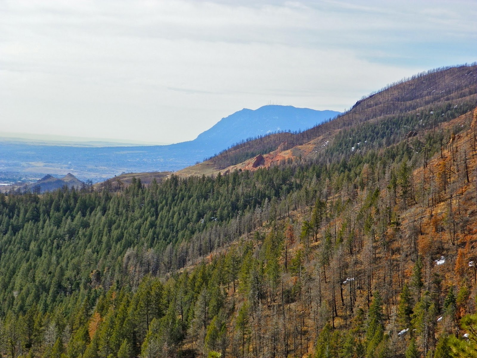 Otowi Blodgett Peak Open Space 3/29/14