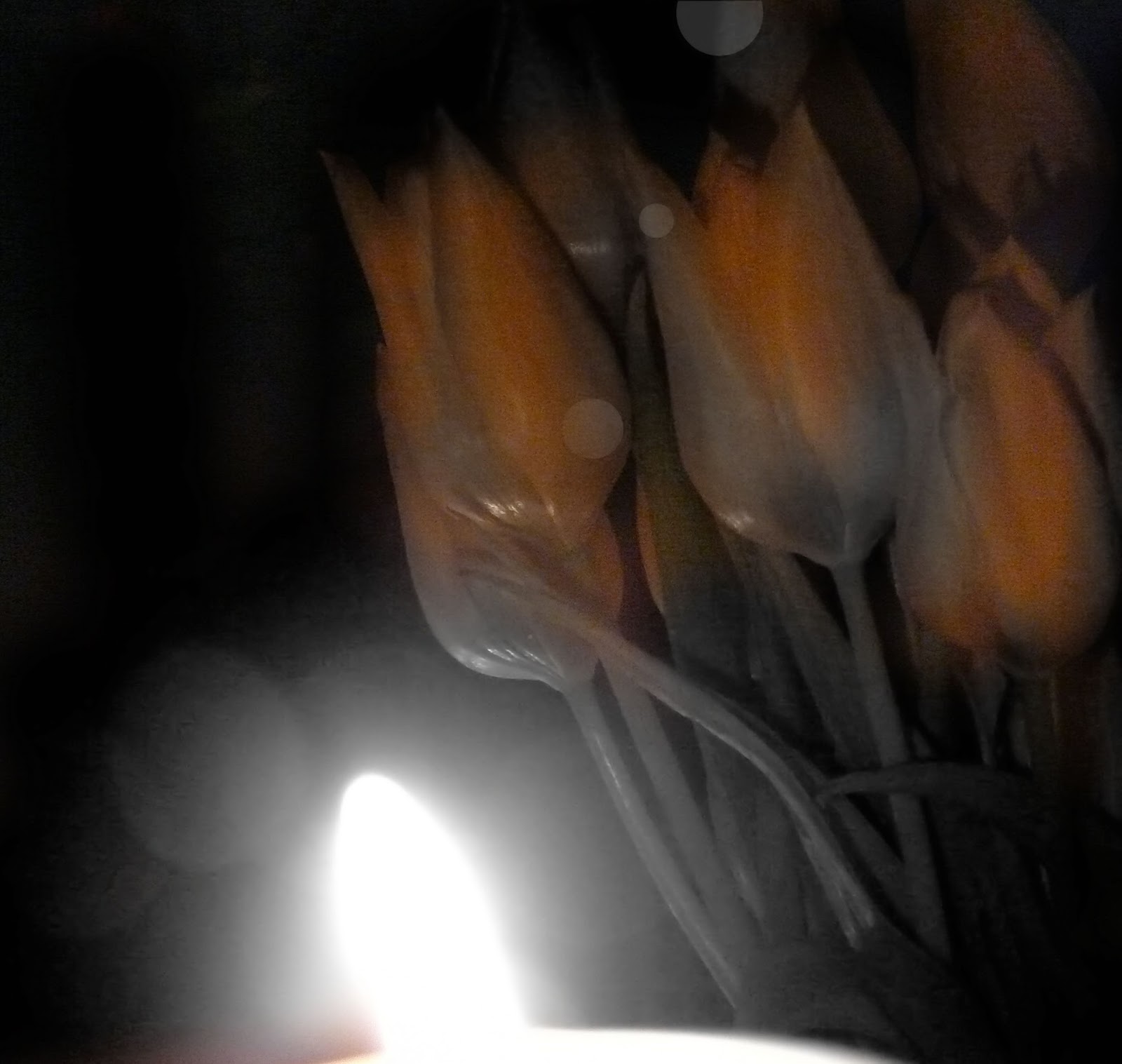 Der Bananensprayer Thomas Baumgartel Markiert Galerien Und