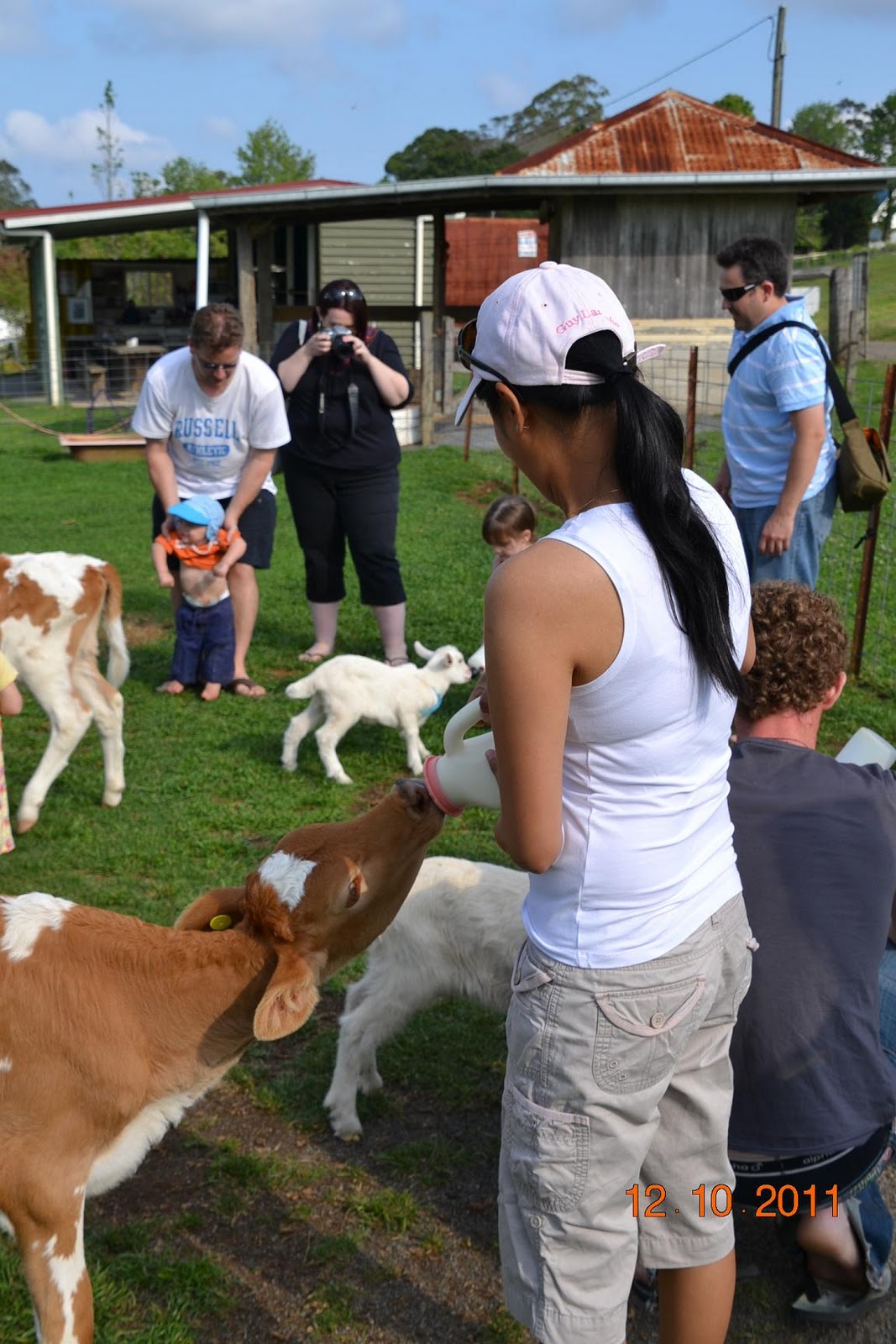Jaded Nomad RV ADVENTURE Maleny Dairy