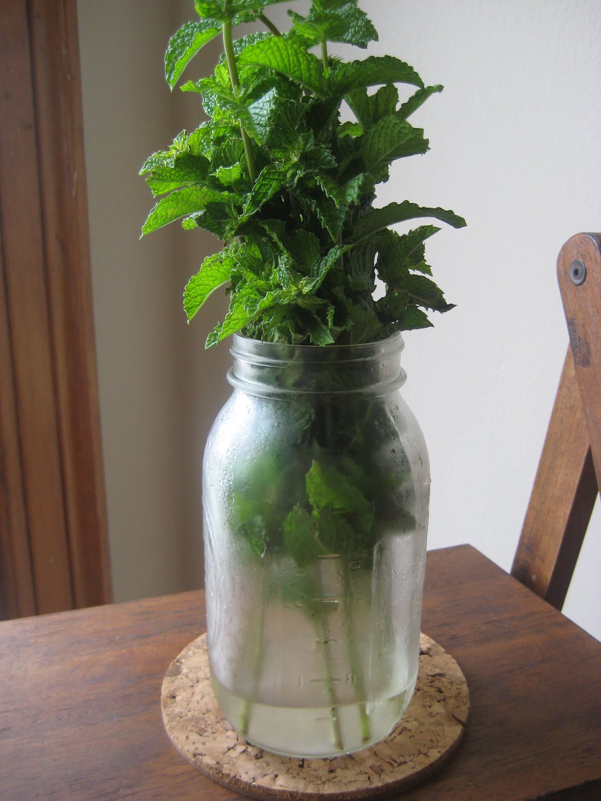The Delicious Truth How to Properly Store Fresh Herbs, Including Mint