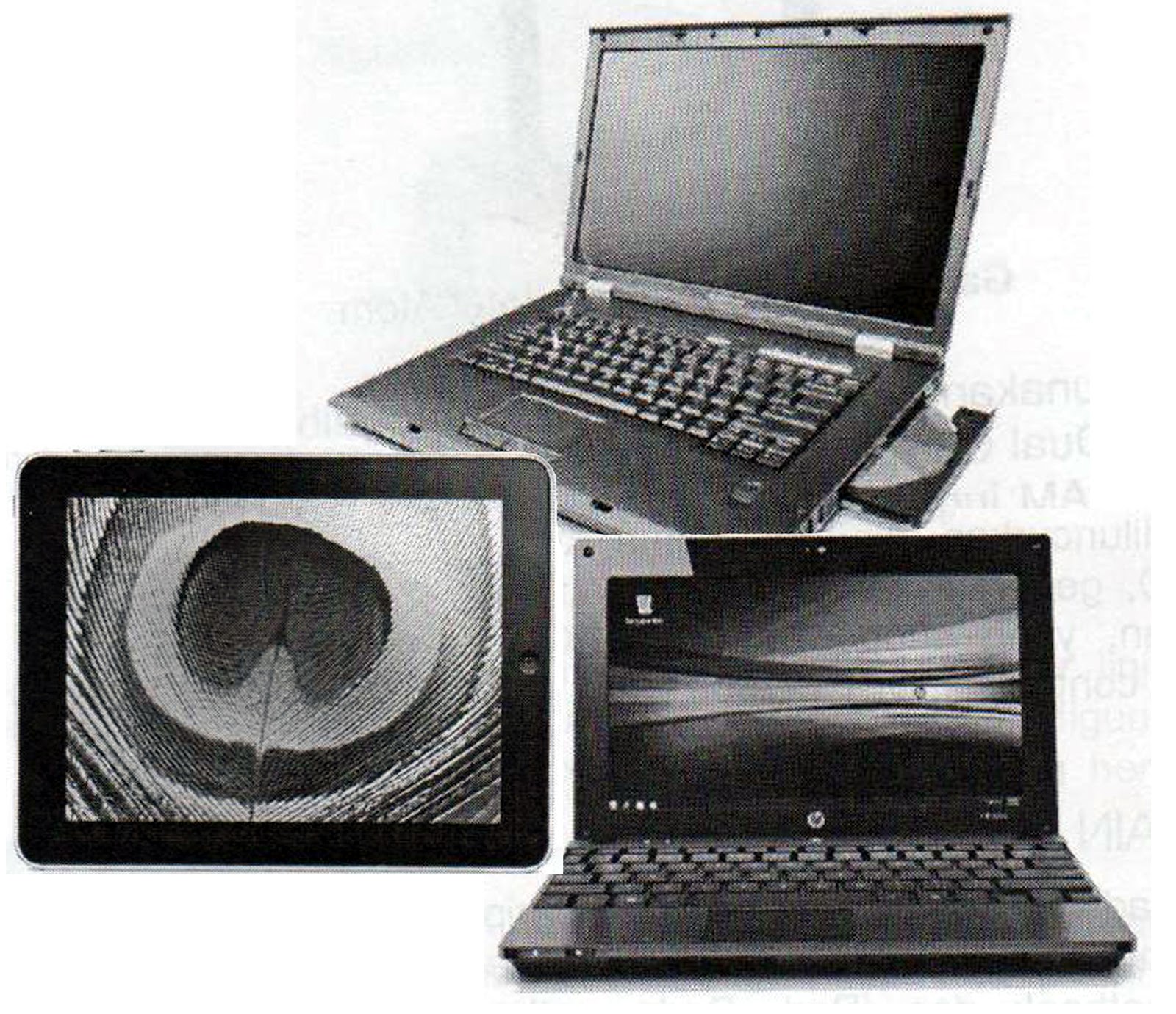 THE COMPUTER WORLD Differences Notebook, Netbook, and Tablet PC