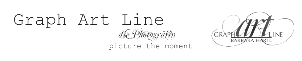 Graph Art Line - die Photogräfin