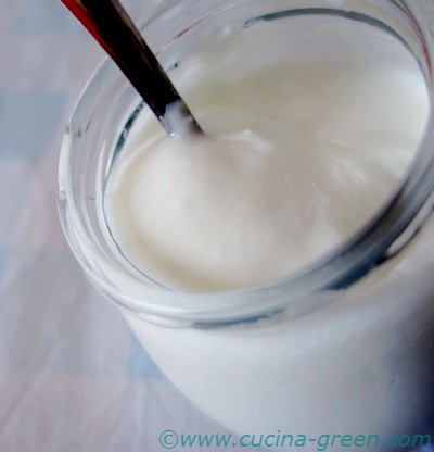 lactobacillus fermentazione in polvere fatta in casa Auplew Polvere di fermentazione biologica per yogurt e yogurt accessori per yogurt di lunga durata e facile da riporre 