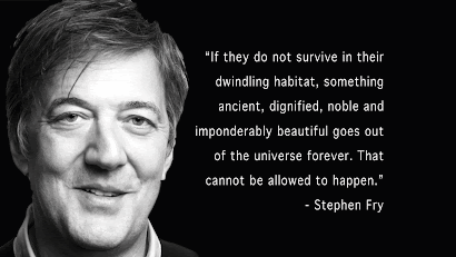 Stephen Fry