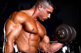 somanabolic muscle maximizer