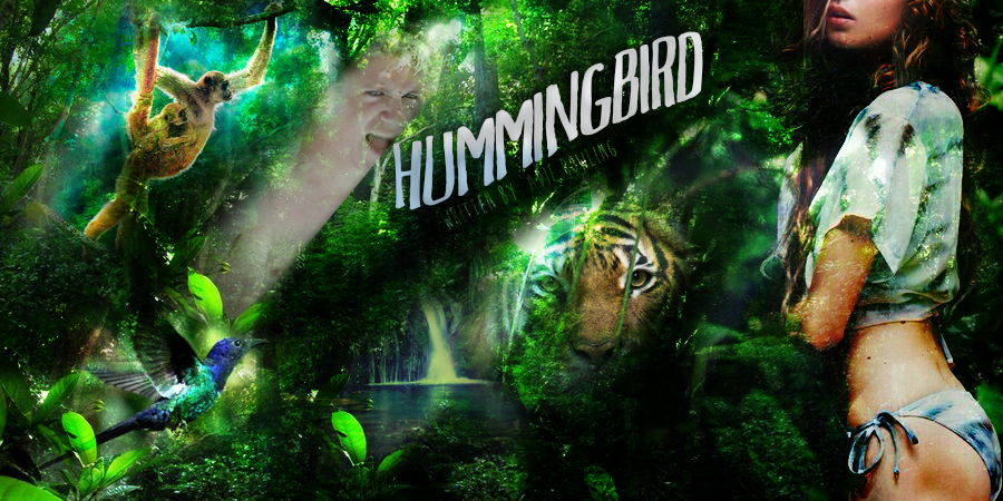 Hummingbird ~ Niall Horan Fanfiction