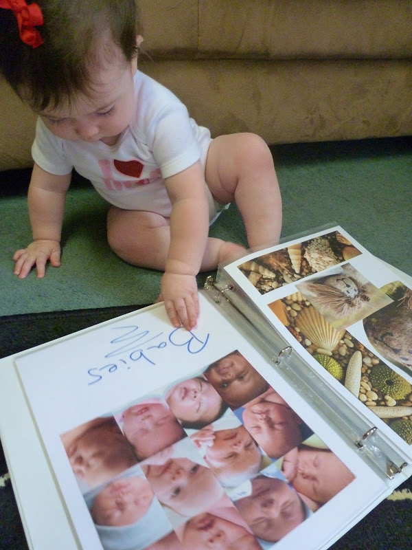 Baby Picture Book for Baby