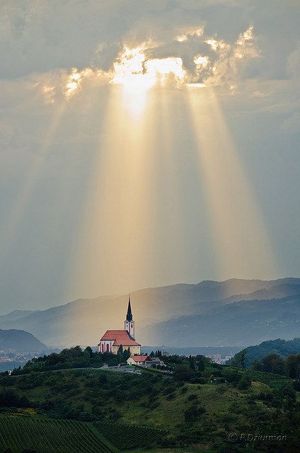 The response of the Christian is not to abandon this terrible world and have nothing to do with it.
