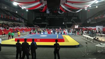 Sanda - Mundial 2011