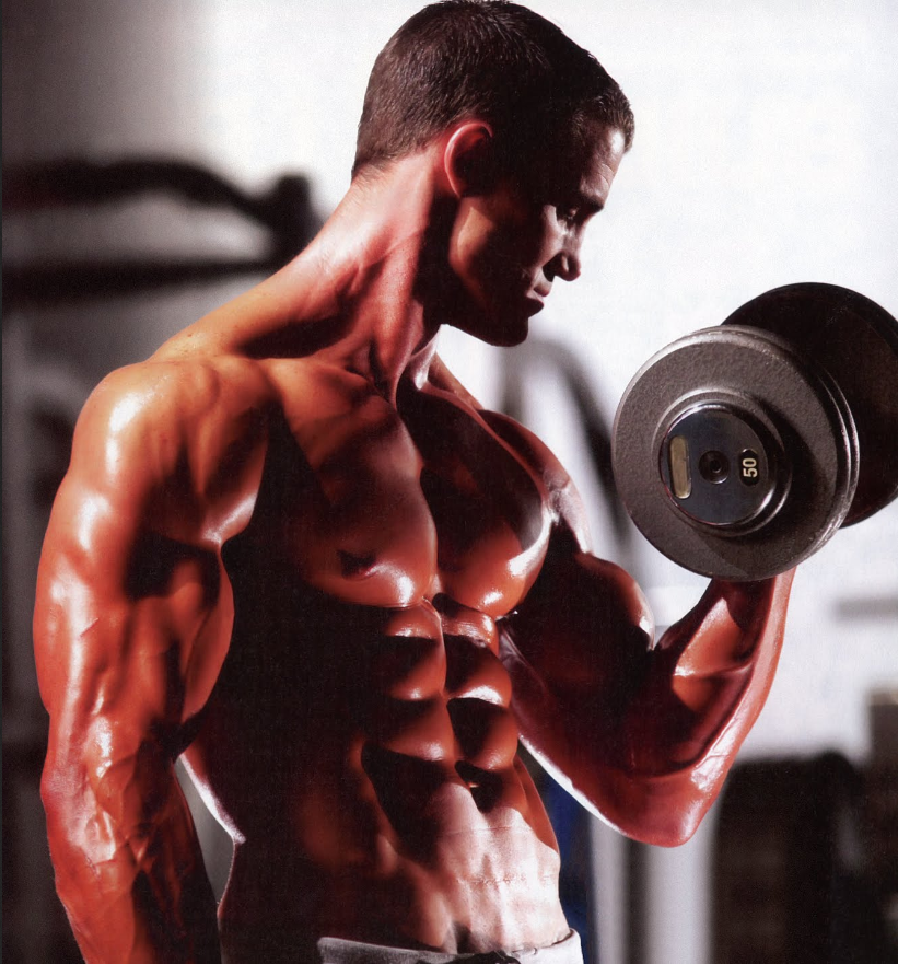 Build Muscle: How to Gain Bulk Weight