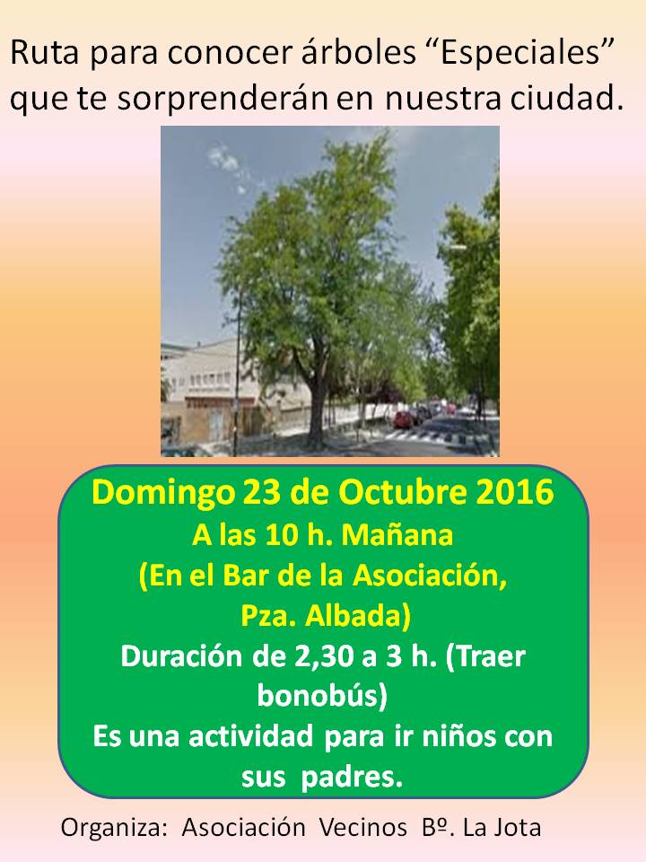 Domingo 23 de Octubre de 2016