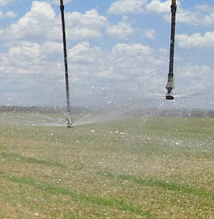 Retrato da irrigação no Brasil