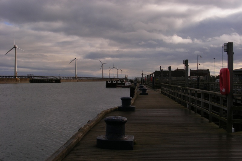 ridley park blyth