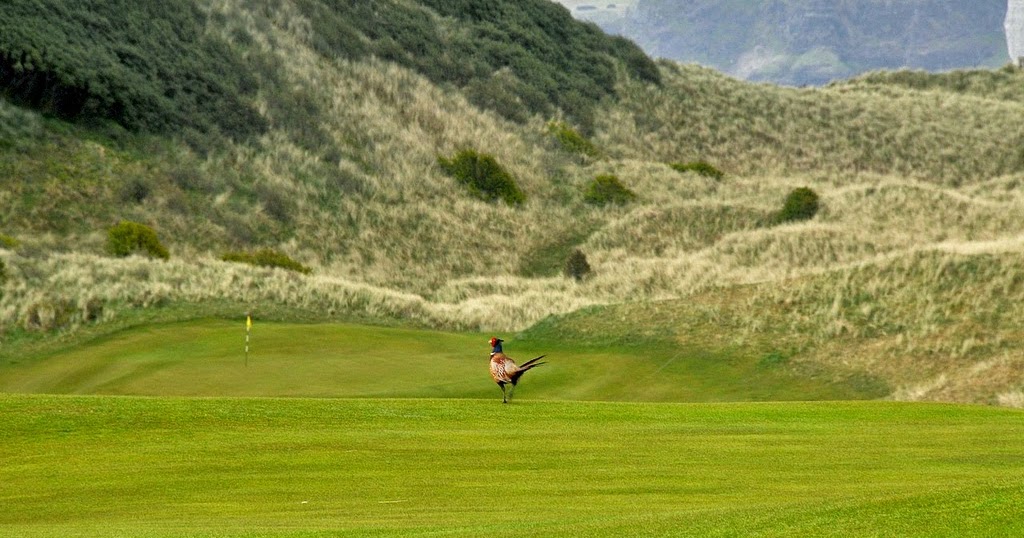 Hooked Ireland's Golf Courses Royal Portrush 2 new holes