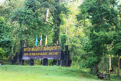 Thung Yai Naresuan and Huay Kha Khaeng Wildlife Sanctuary 