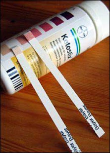 Ketone Sticks (50 Strips)