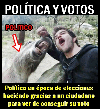 fotomeme buscar votos