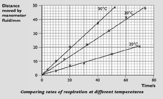 effect of temperature on respiration rate
