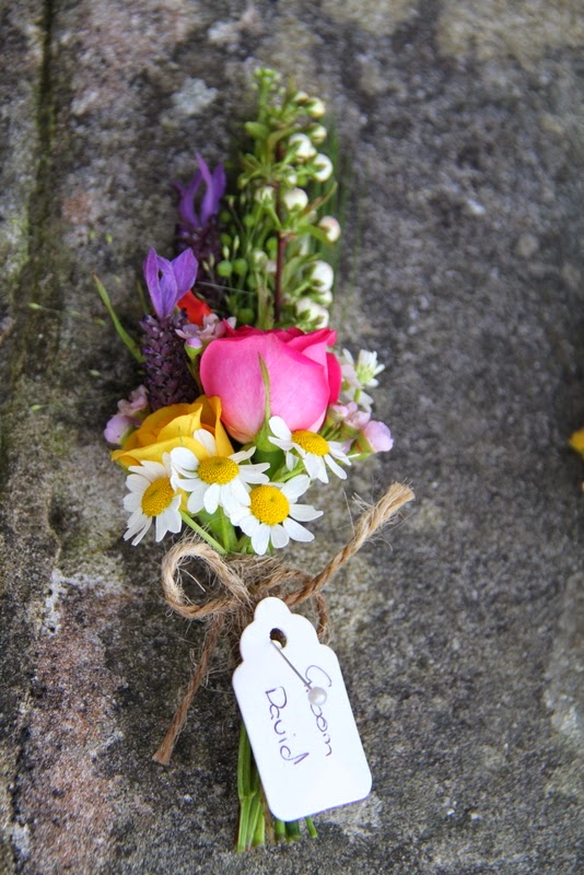 Future Plants By Randy Stewart Spirea