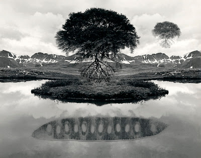 jerry uelsmann trees