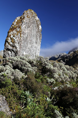 Head Stone Rock Formation on The Routeburn
