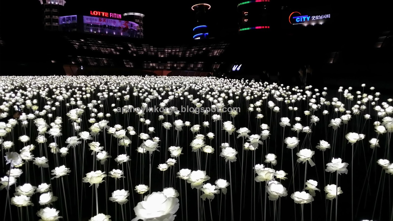 A Pinoy In Korea Dongdaemun S 20 000 White Flowers Garden By Day A Pinoy In Korea Dongdaemun S 20 000 White Flowers Garden By Day Galaxy Of Stars At Night