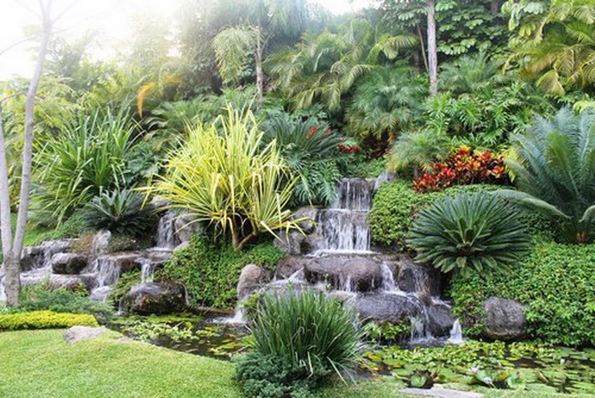 tropical garden design with an interesting small house next to the water flowing
