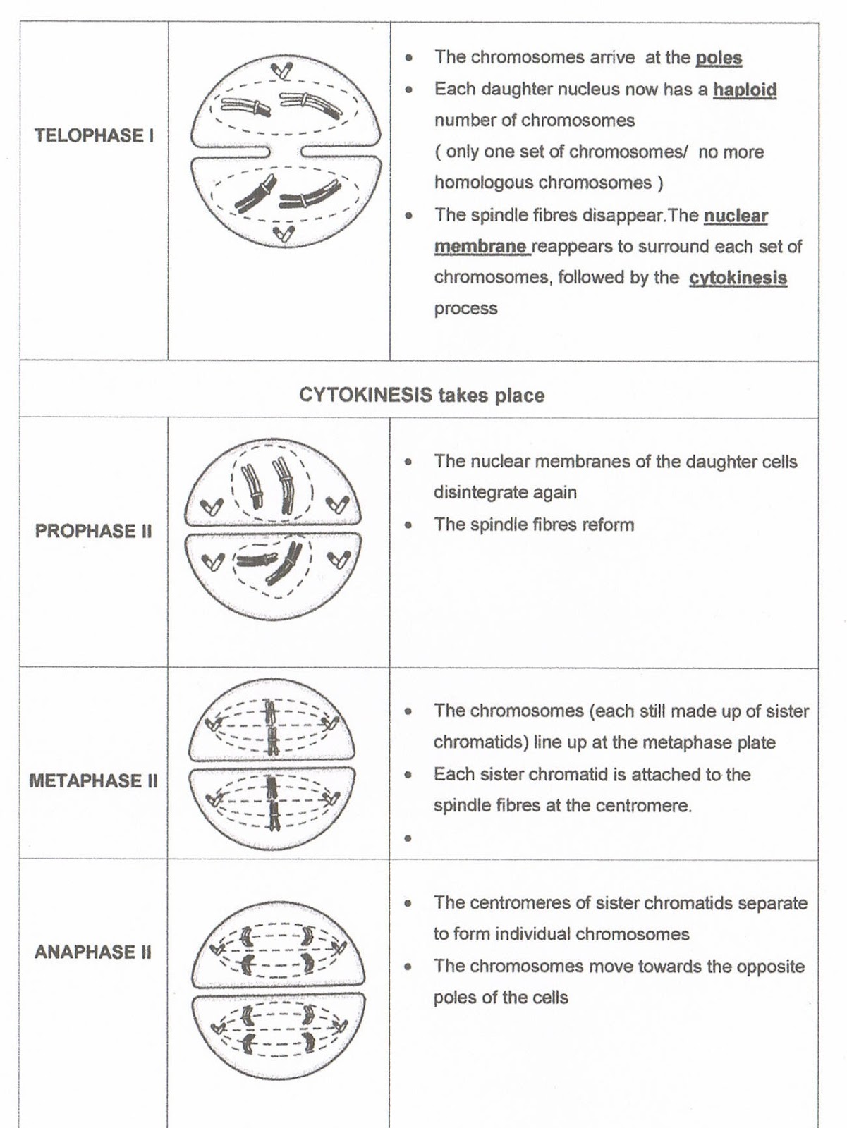 BIOLOGY Form 4 Chapter 5 Module's answer