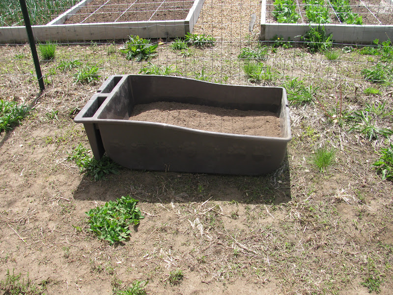 The Harried Homemaker Preps How to Make an Easy Dust Box for Chickens