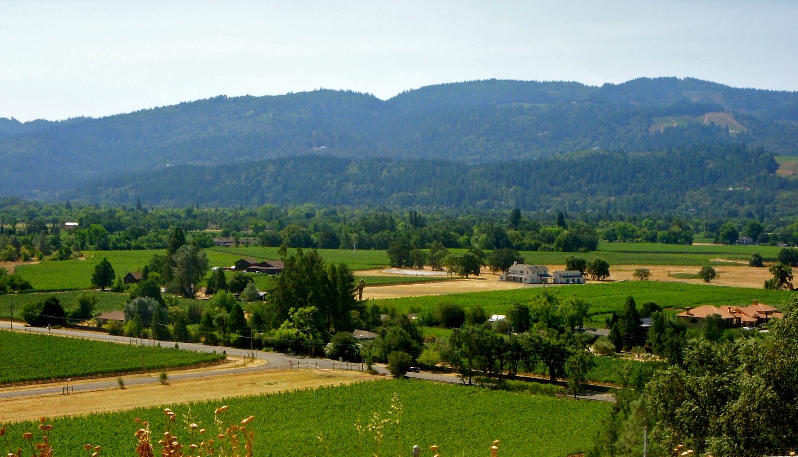 Honey's Treasures Cobb Mountain