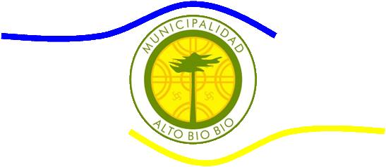 Proyecto desarrollado en conjunto por Municipalidad de Alto biobio y comunidad de Cauñicu