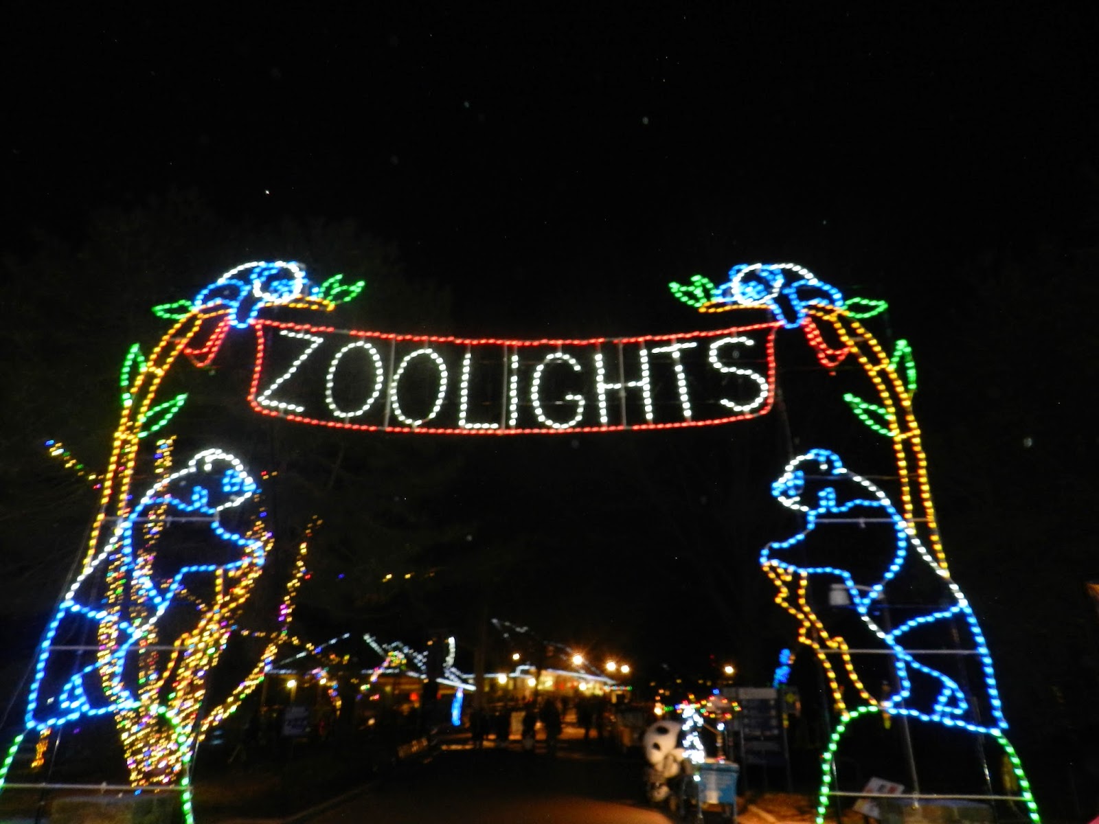 The Real Housewife of DC Zoo Lights at the National Zoo