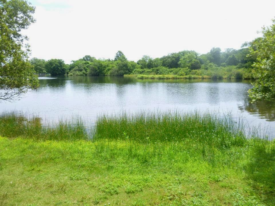 Southaven county park A Mike Who Likes to Hike