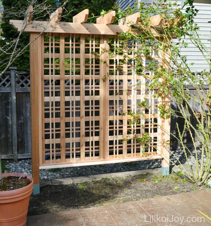 Diy Trellis Arbor | pdf diy pergola trellis plans download pergola plans 12 x Diy Trellis Arbor | pdf diy pergola trellis plans download pergola plans 12 x