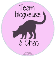UNE BLOGUEUSE A CHAT !