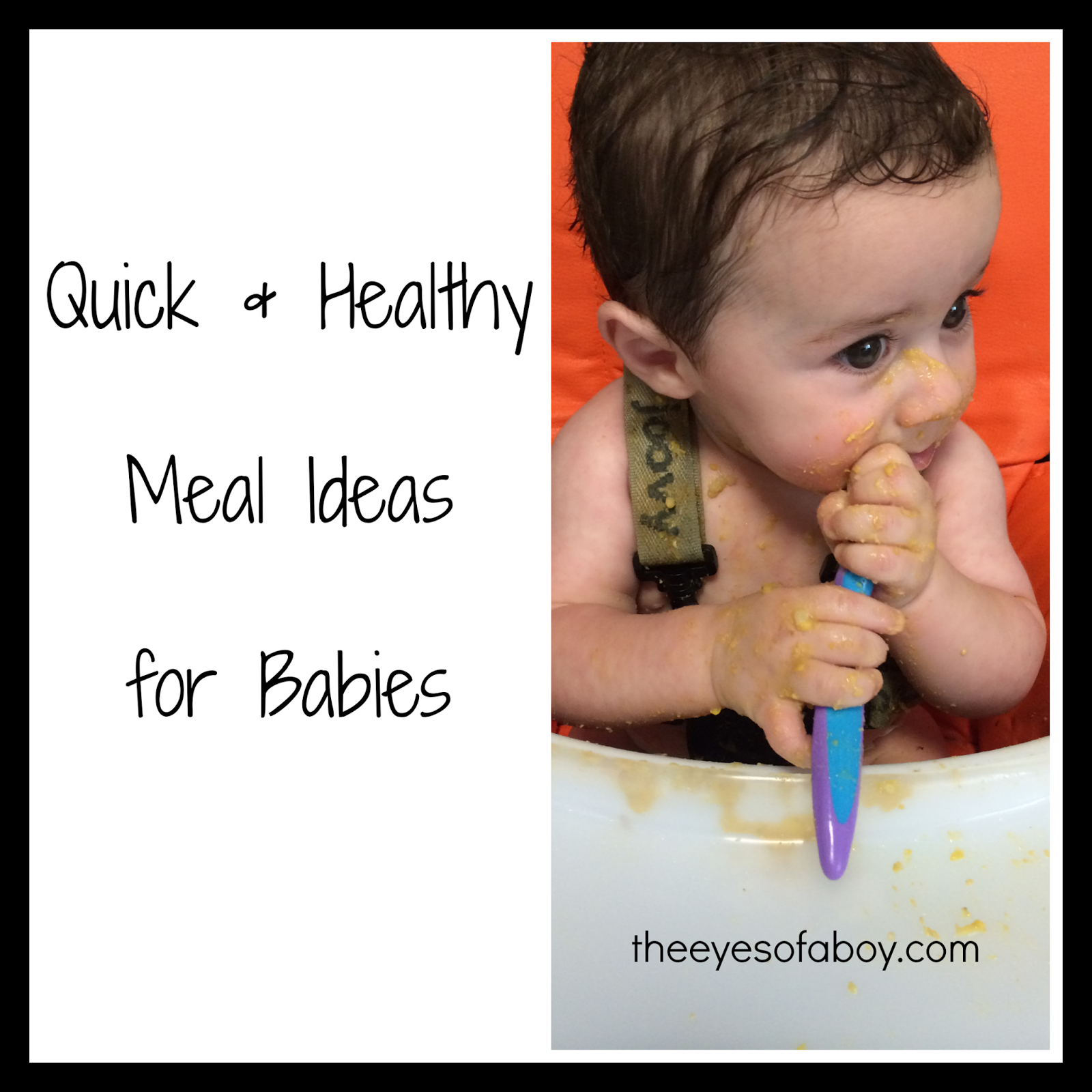 Quick and Healthy Baby Food Ideas Wildly Charmed