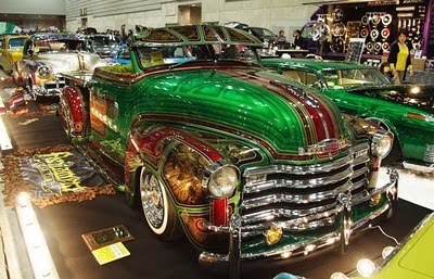 Crazy Lowrider Beetle