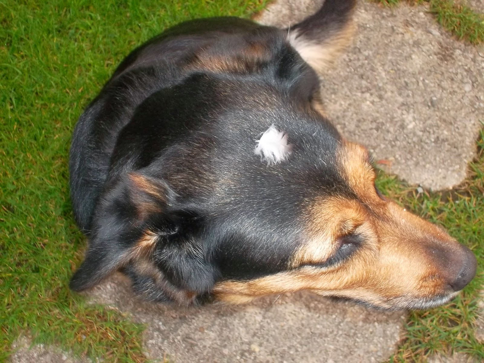 Besonders Gewohnlich Kopfschmerzen