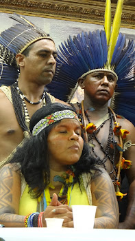 Mobilização  Indígena - ATL 2013