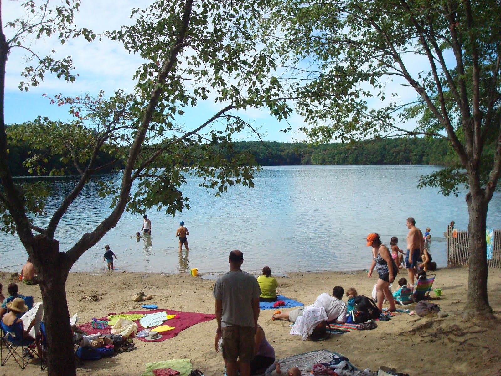 Wild Swimming New England Wild Swimming at Walden Pond, Concord MA