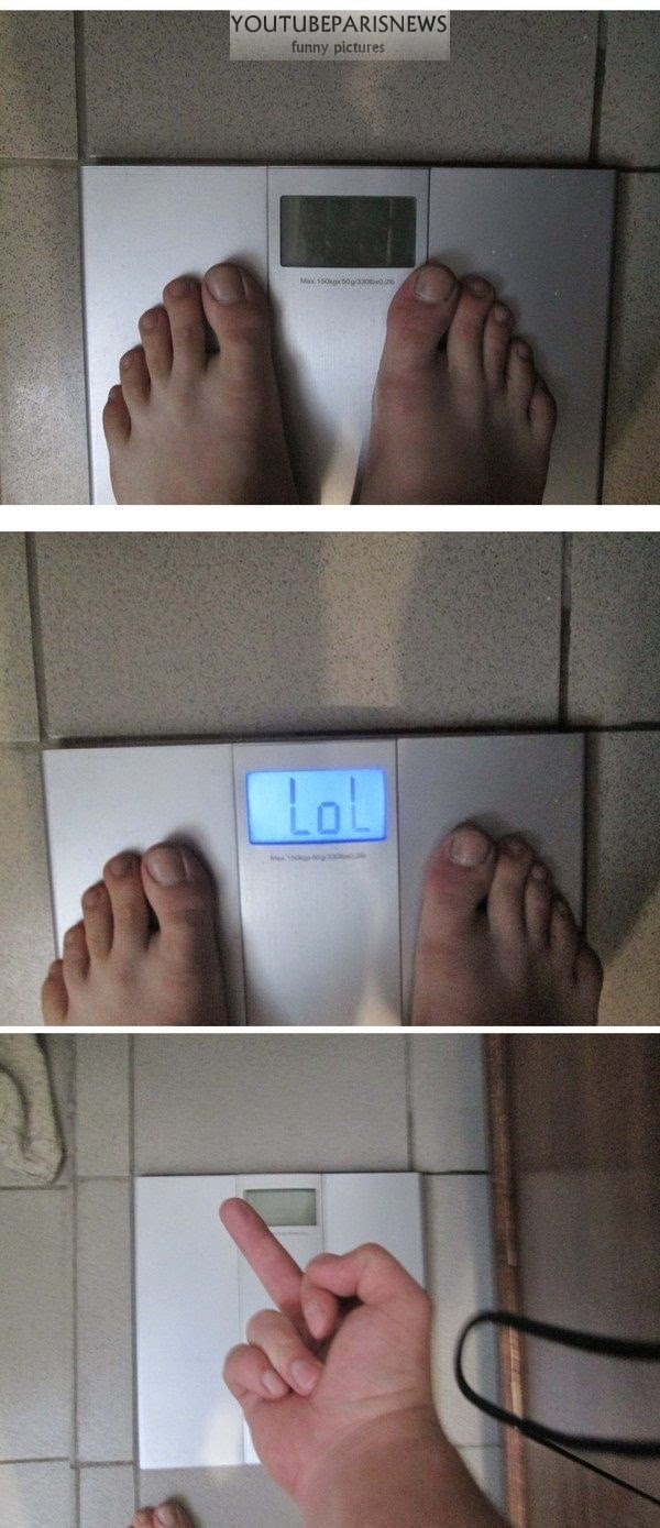 daily_picdump_1573_640_high_87.jpg