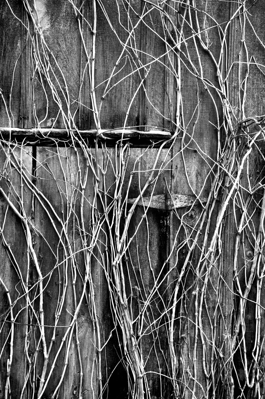 A Photographic Sage On Location The Old Zimmerman Farm