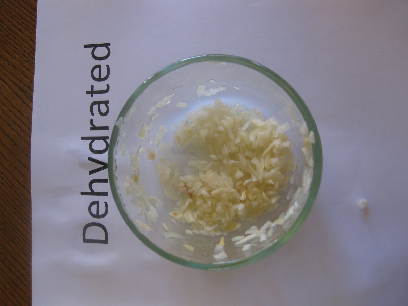 Thrive Life Consultant Freeze Dried Onions vs. Dehydrated Onions